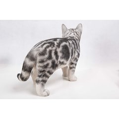 Standing American Shorthair Statue