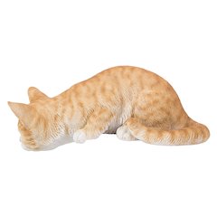 Cat Looking Over LEDge - Orange Tabby