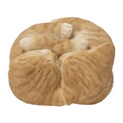 Sleeping Couple Cats - Orange
