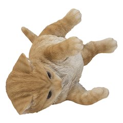 Lying Cat