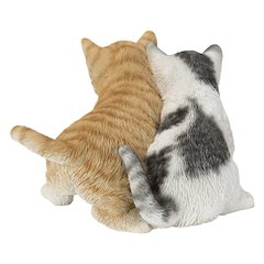 Kittens Sitting Together