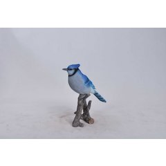 Blue Jay On Branch