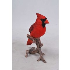 Cardinal On Branch
