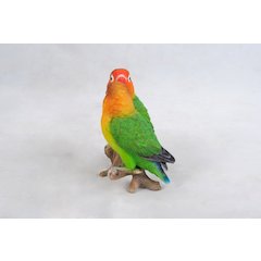 Lovebird Parrots On Branch