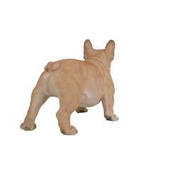 Large French Bull