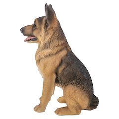 Large Sitting German Shepherd