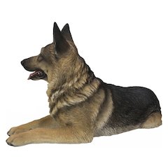 Lying German Shepherd
