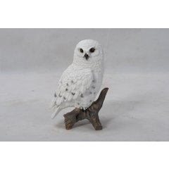 Small Snowy Owl On Stump