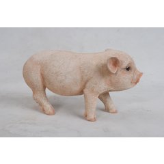Standing Baby Pig
