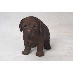 Chocolate Standing Labrador Puppy Statue