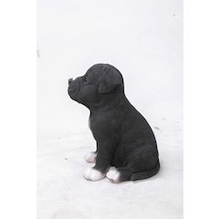 Staffordshire Pitbull Puppy Statue