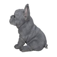 Blue French Bulldog Puppy Sitting Statue