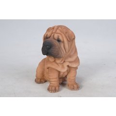 Shar Pei Puppy