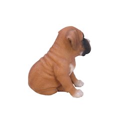 Boxer Puppy