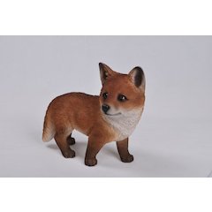 Fox Pup Standing