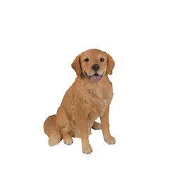 Sitting Golden Retriever