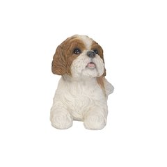 Shih Tzu Lying Down - Brown/White
