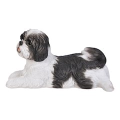 Shih Tzu Lying Down - Black/White