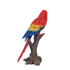Parrot On Branch