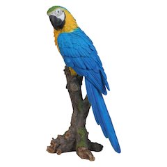 Blue & Yellow Parrot On Branch Statue