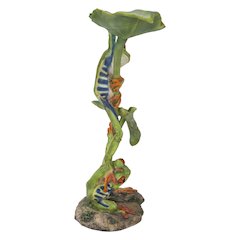 Lotus Leaf with Red-Eyed Tree Frog