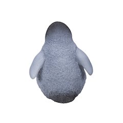 Laughing Baby Penguin
