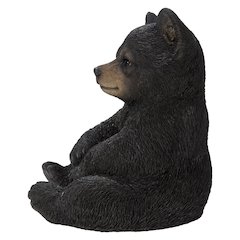 Sitting Black Bear Cub
