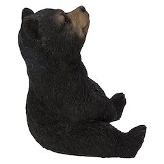 Sitting Black Bear Cub with Head Up