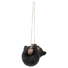Hanging Black Bear Lying Branch