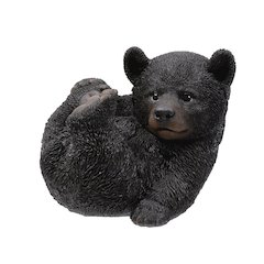 Baby Black Bear Lying