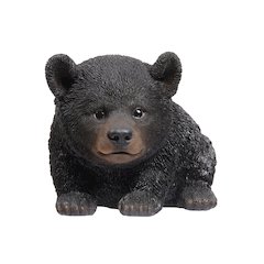 Baby Black Bear Crawling
