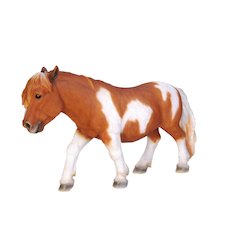 Shetland Pony-Brown/White
