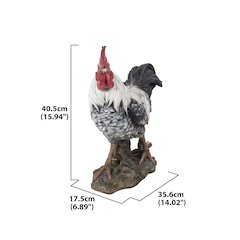 Rooster - Black & White