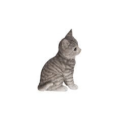 Head-Tilting Grey Tabby Kitten Sitting