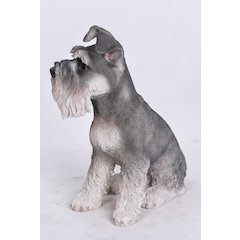 Grey Schnauzer Statue