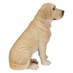 Sitting Brown Labrador