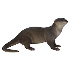 Brown Standing Otter