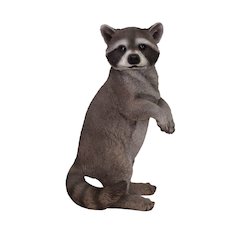 Standing Raccoon Statue