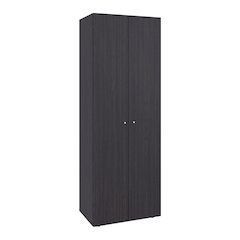 2 Door Closet System, Four Fixed Shelves, Compact Wardrobe, Black