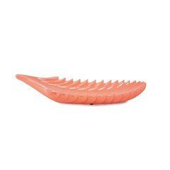 Coral Reef Tray