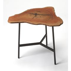 Ipswich Live Edge Side Table, Multi-Color