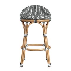 Tobias 24.5 in. Seat Height Outdoor Rattan and Metal Low Back Counter Stool