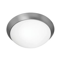 LED Flush Mount in Brushed Steel Color