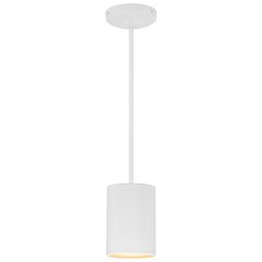 LED Pendant in Matte White Color
