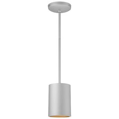 LED Pendant in Satin Color