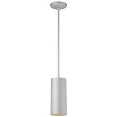LED Pendant in Satin Color