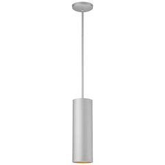 LED Pendant in Satin Color