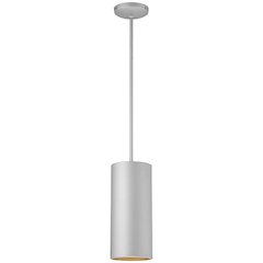 LED Pendant in Satin Color