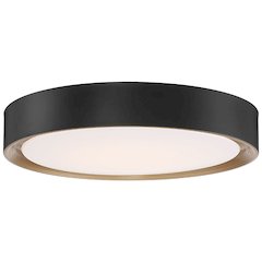 3CCT LED Flush Mount in Matte Black Color