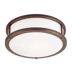 LED Flush Mount in Bronze Color